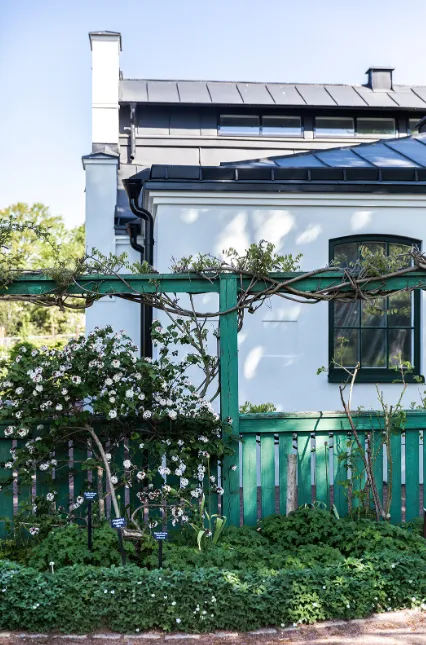 Sprutmålning av plåttak pågår på Rosendala rosarium, Huskvarna – Nixco